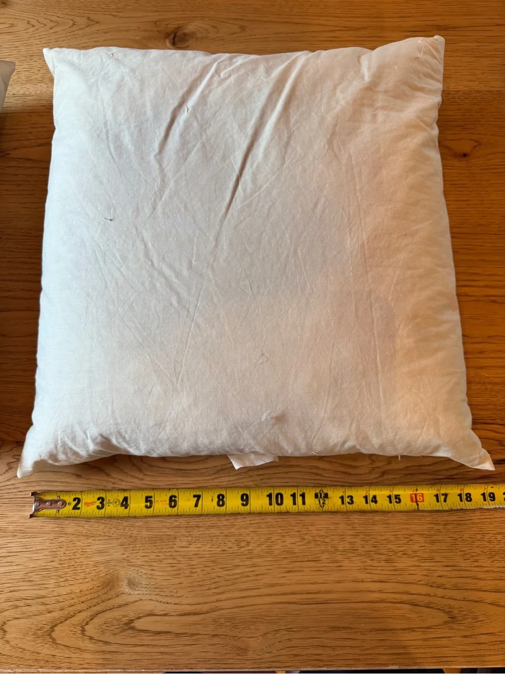18x18 Set Of 2 100% Feather Throw Pillow Inserts